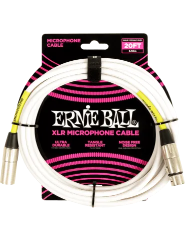 ERNIE BALL 6389 | MusicGoodDeal 2