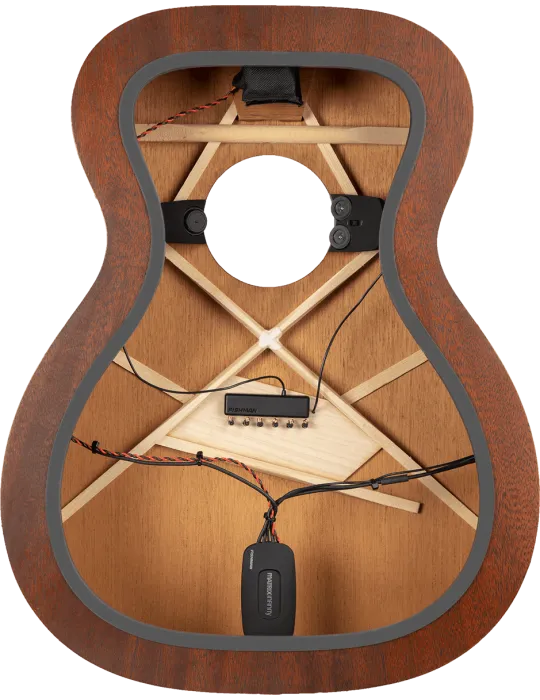 FISHMAN PRO-MAT-PT1 | MusicGoodDeal