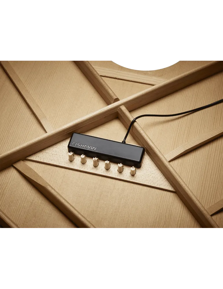 FISHMAN PRO-MAT-PT1 | MusicGoodDeal