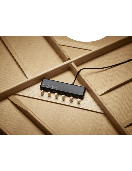 FISHMAN PRO-MAT-PT1 | MusicGoodDeal