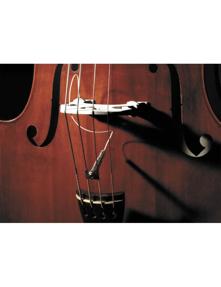 FISHMAN PRO-FCL-001 | MusicGoodDeal