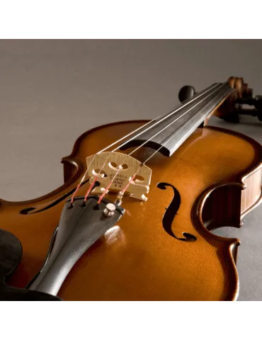 FISHMAN PRO-V40-0VI | MusicGoodDeal 2