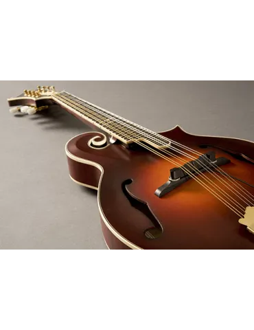 FISHMAN PRO-M30-0MA | MusicGoodDeal 2