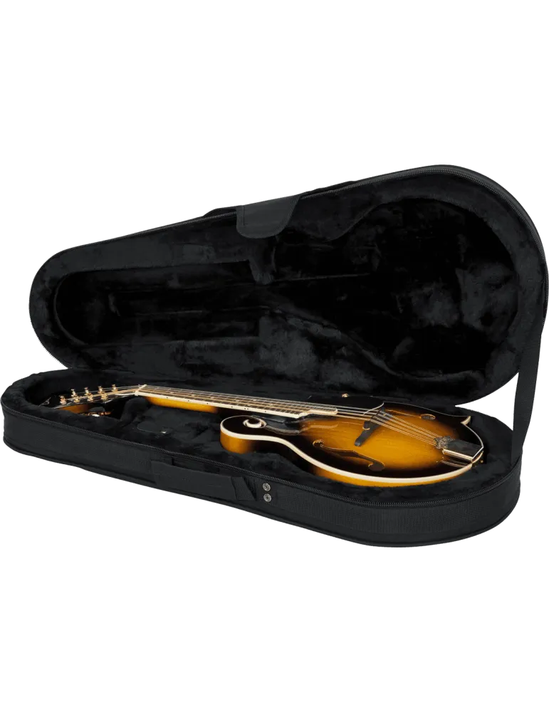 GATOR CASES GL-MANDOLIN | MusicGoodDeal