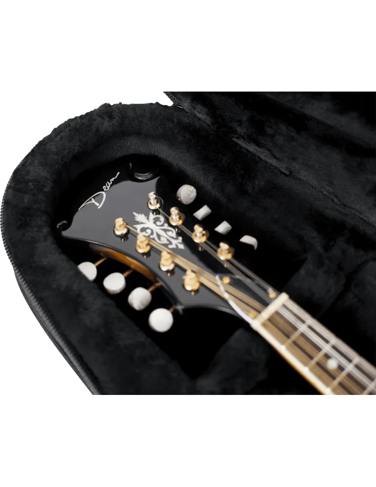 GATOR CASES GL-MANDOLIN | MusicGoodDeal