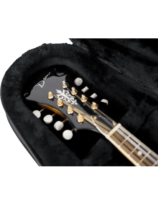GATOR CASES GL-MANDOLIN | MusicGoodDeal