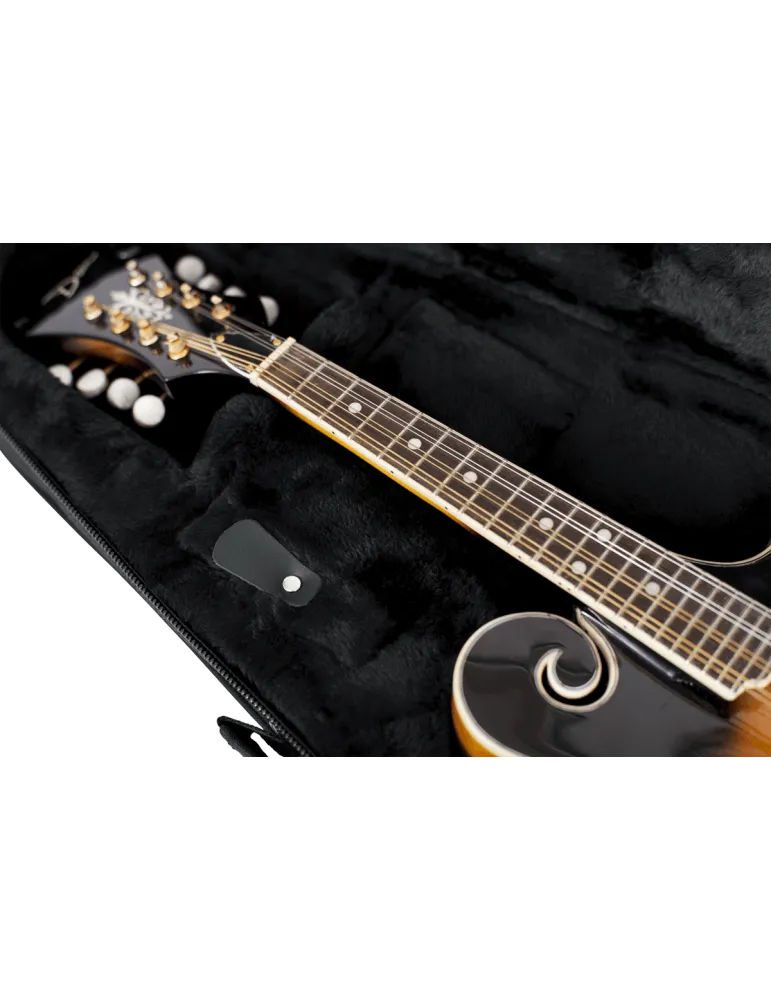 GATOR CASES GL-MANDOLIN | MusicGoodDeal
