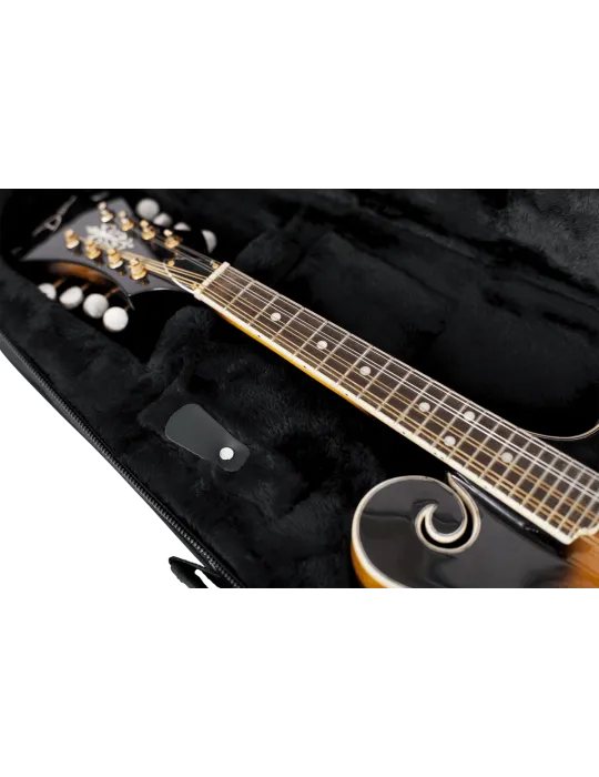 GATOR CASES GL-MANDOLIN | MusicGoodDeal