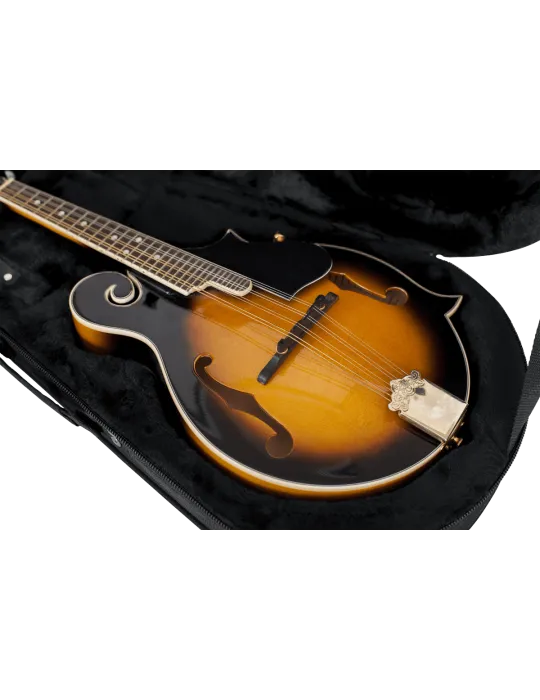 GATOR CASES GL-MANDOLIN | MusicGoodDeal