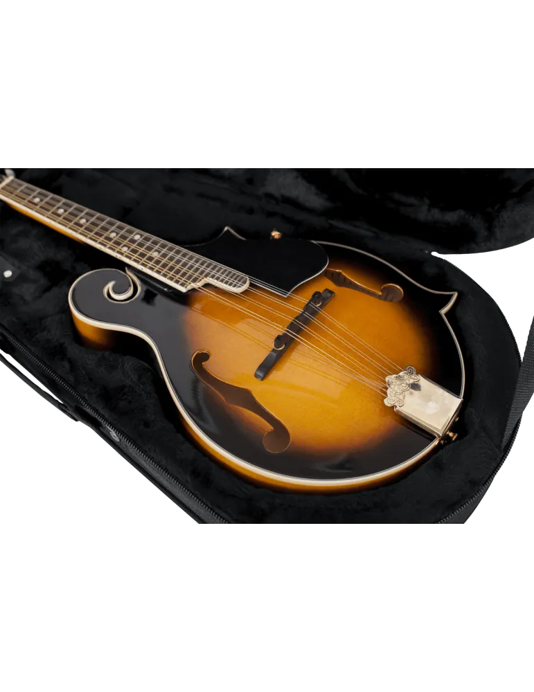 GATOR CASES GL-MANDOLIN | MusicGoodDeal
