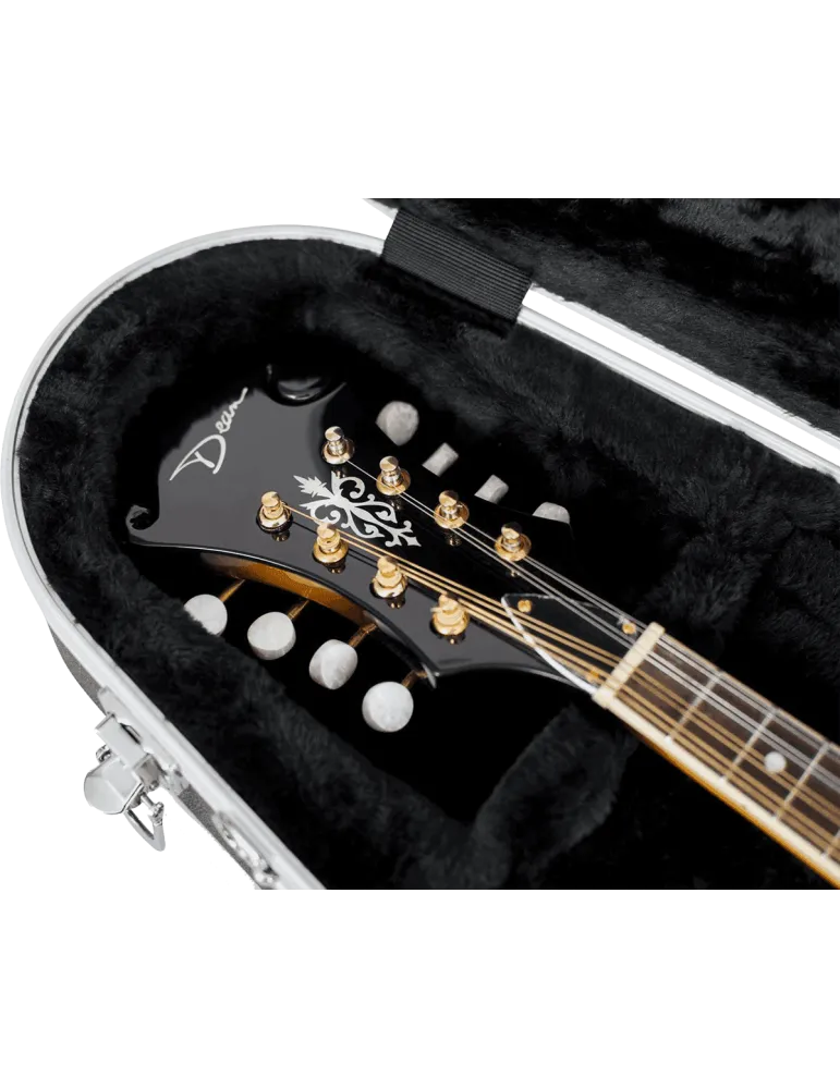 GATOR CASES GC-MANDOLIN | MusicGoodDeal