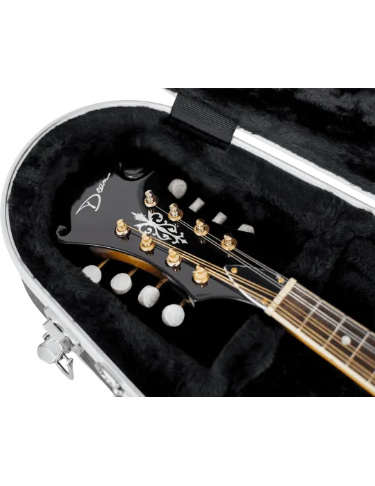 GATOR CASES GC-MANDOLIN | MusicGoodDeal