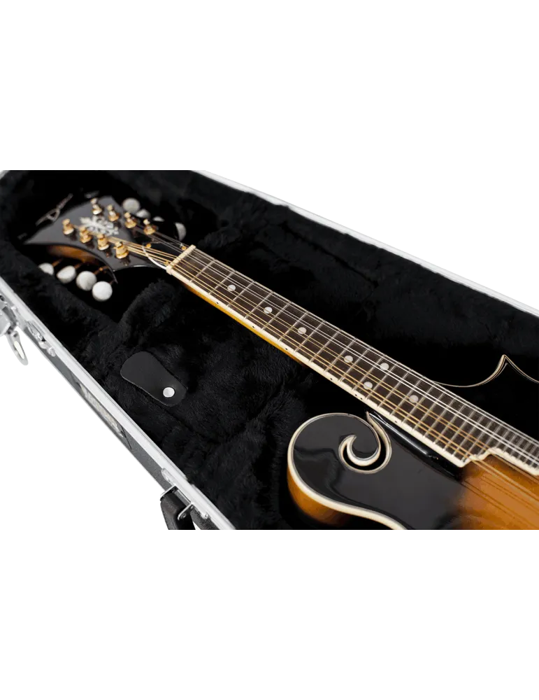 GATOR CASES GC-MANDOLIN | MusicGoodDeal