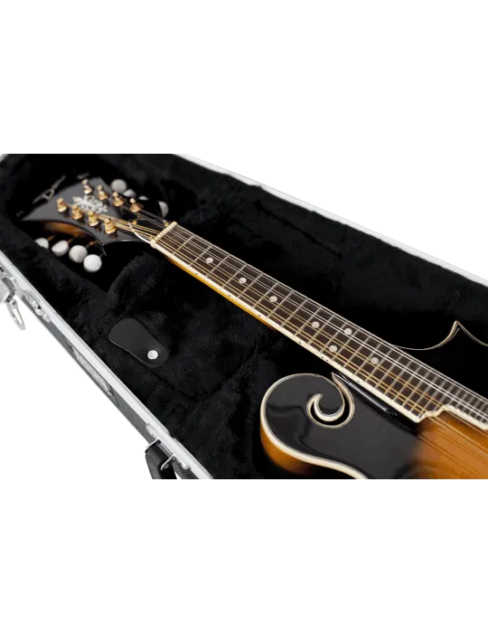 GATOR CASES GC-MANDOLIN | MusicGoodDeal