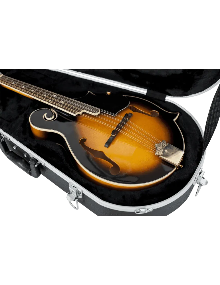 GATOR CASES GC-MANDOLIN | MusicGoodDeal