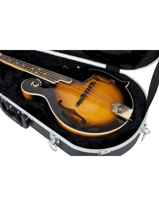 GATOR CASES GC-MANDOLIN | MusicGoodDeal