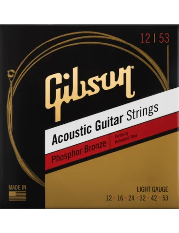 GIBSON ACCESSORIES SAG-PB12 | MusicGoodDeal