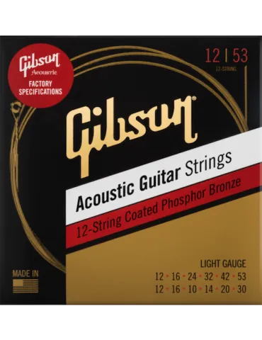 GIBSON ACCESSORIES SAG-PB12L | MusicGoodDeal