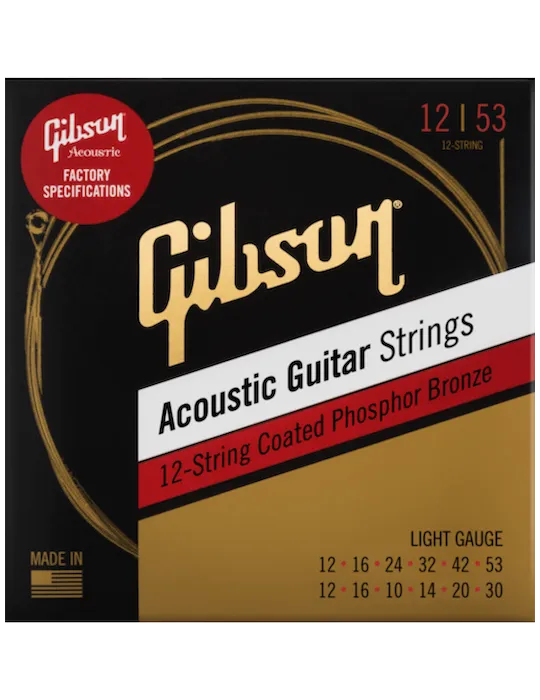 GIBSON ACCESSORIES SAG-PB12L | MusicGoodDeal