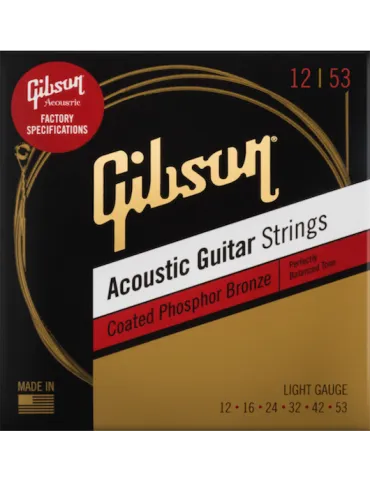 GIBSON ACCESSORIES SAG-CPB12 | MusicGoodDeal
