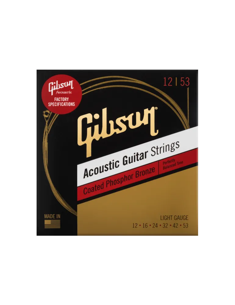 GIBSON ACCESSORIES SAG-CPB12 | MusicGoodDeal
