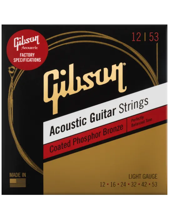 GIBSON ACCESSORIES SAG-CPB12 | MusicGoodDeal