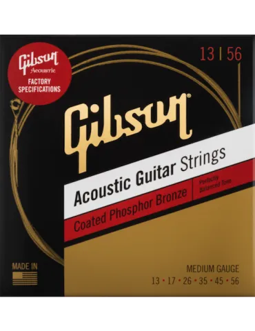 GIBSON ACCESSORIES SAG-CPB13 | MusicGoodDeal