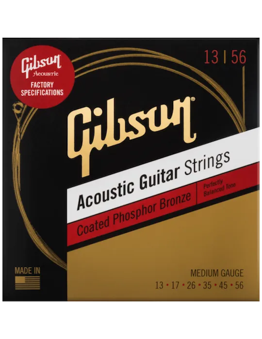 GIBSON ACCESSORIES SAG-CPB13 | MusicGoodDeal