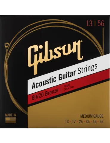 GIBSON ACCESSORIES SAG-BRW13 | MusicGoodDeal