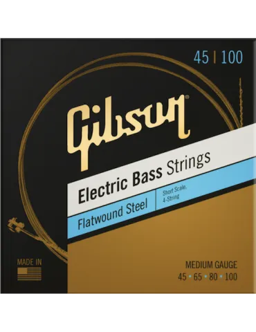 GIBSON ACCESSORIES SBG-FWSSL | MusicGoodDeal