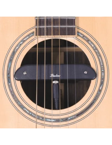 SHADOW 141 | MusicGoodDeal