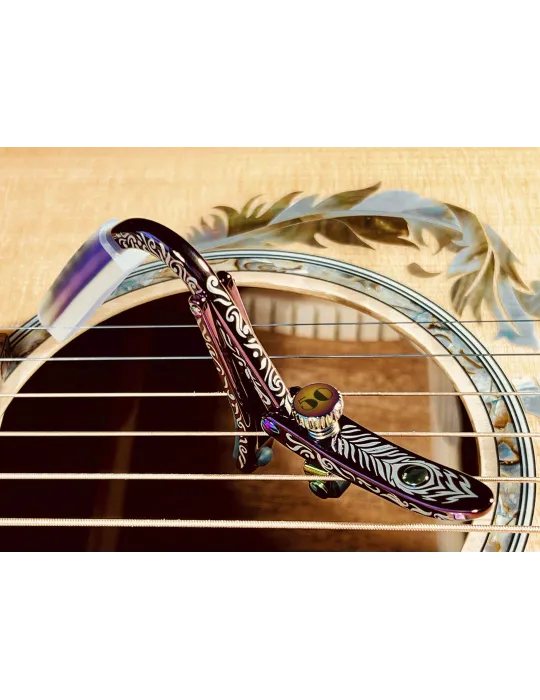 SHUBB C1VS | MusicGoodDeal