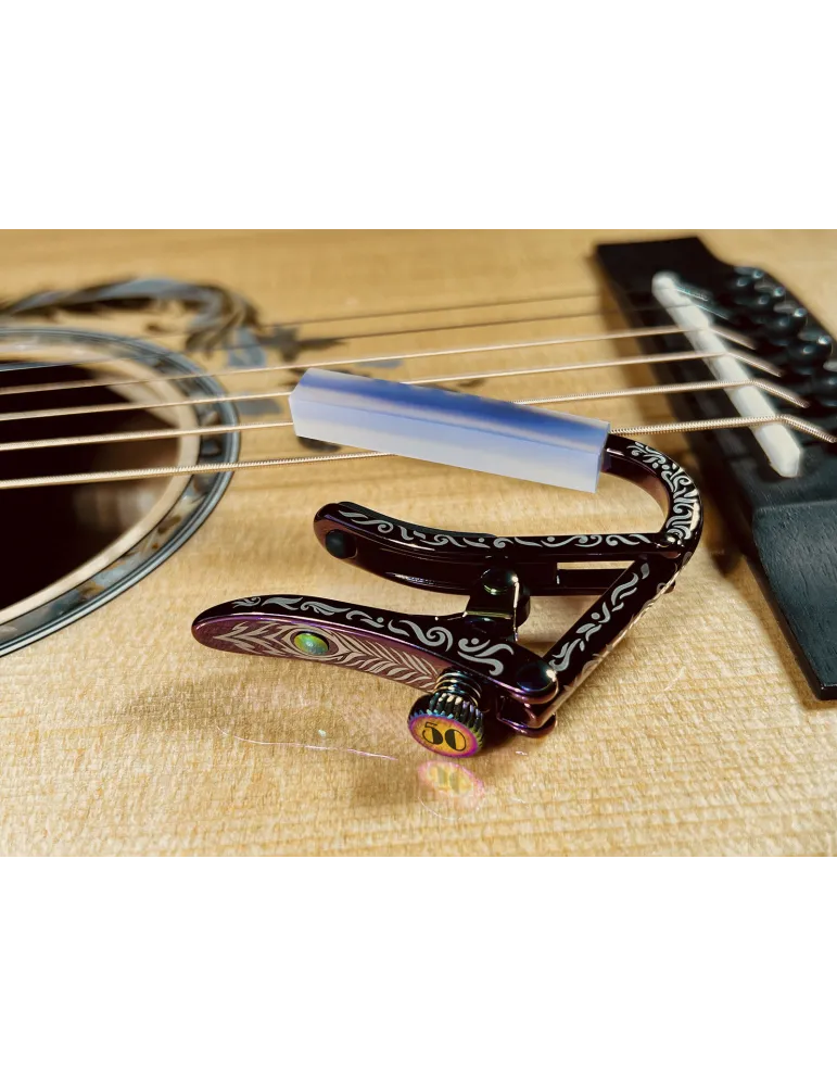 SHUBB C2VS | MusicGoodDeal