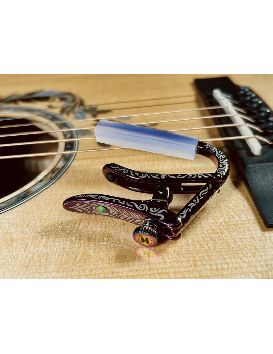 SHUBB C2VS | MusicGoodDeal