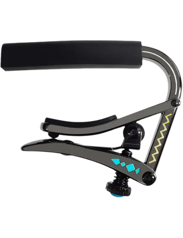 SHUBB C2D | MusicGoodDeal 2