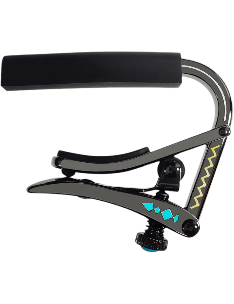 SHUBB C2D | MusicGoodDeal