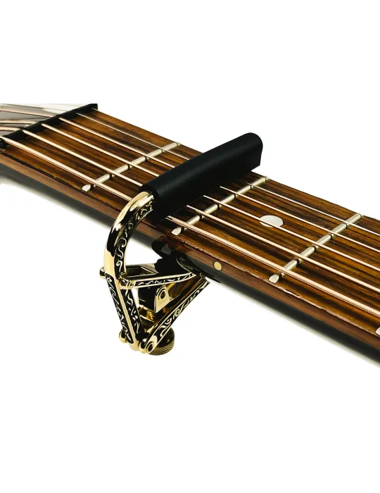 SHUBB EC1B | MusicGoodDeal