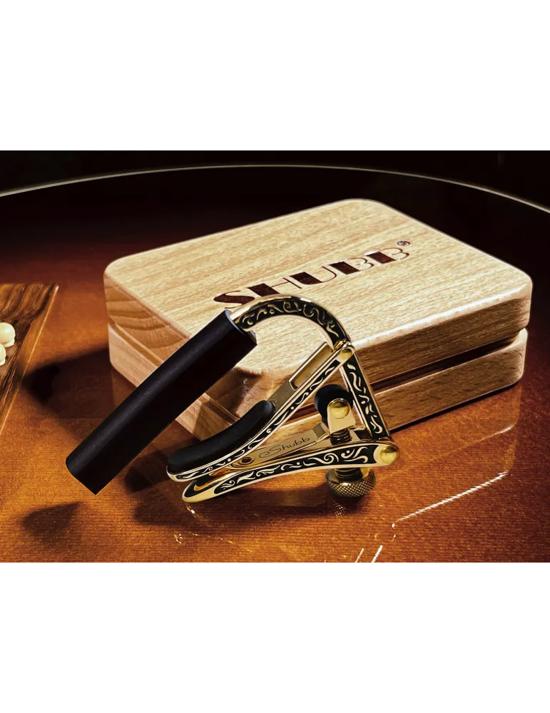SHUBB EC1B | MusicGoodDeal