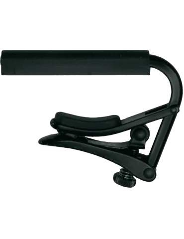 SHUBB C2K | MusicGoodDeal