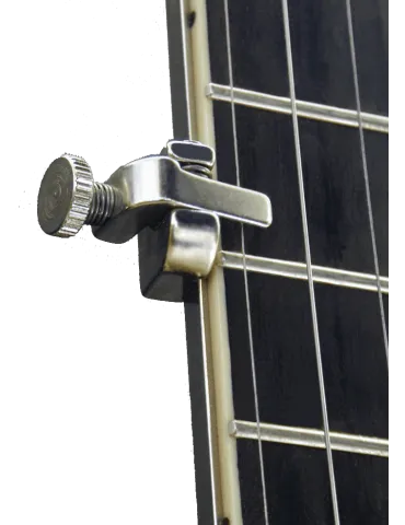 SHUBB FS | MusicGoodDeal