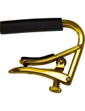 SHUBB C1G | MusicGoodDeal