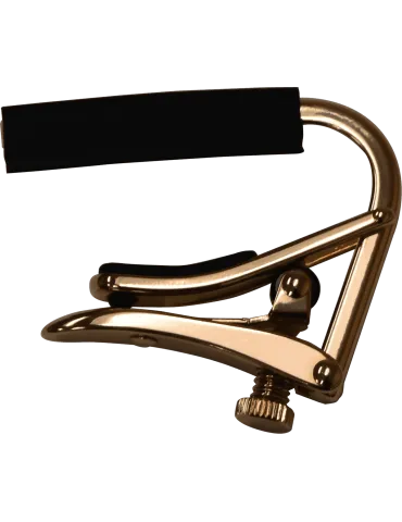 SHUBB C2RG | MusicGoodDeal