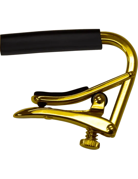 SHUBB C3G | MusicGoodDeal