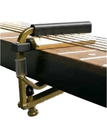 SHUBB C6B | MusicGoodDeal