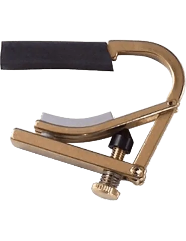 SHUBB C8B | MusicGoodDeal