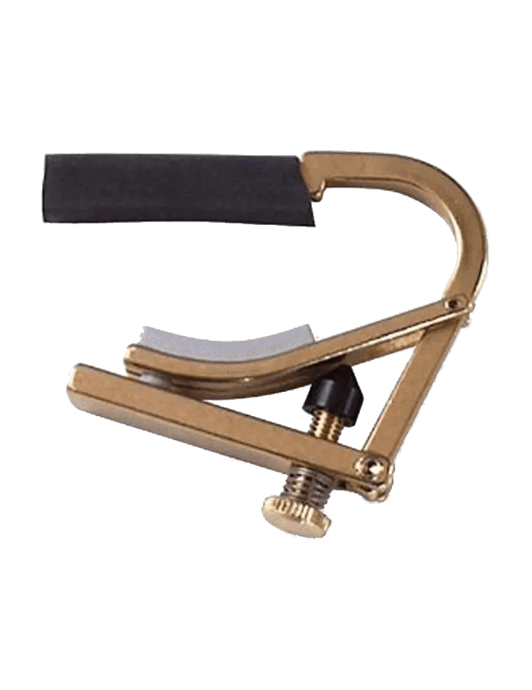 SHUBB C8B | MusicGoodDeal