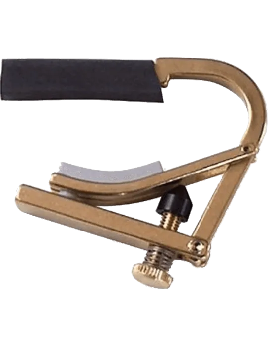 SHUBB C8B | MusicGoodDeal