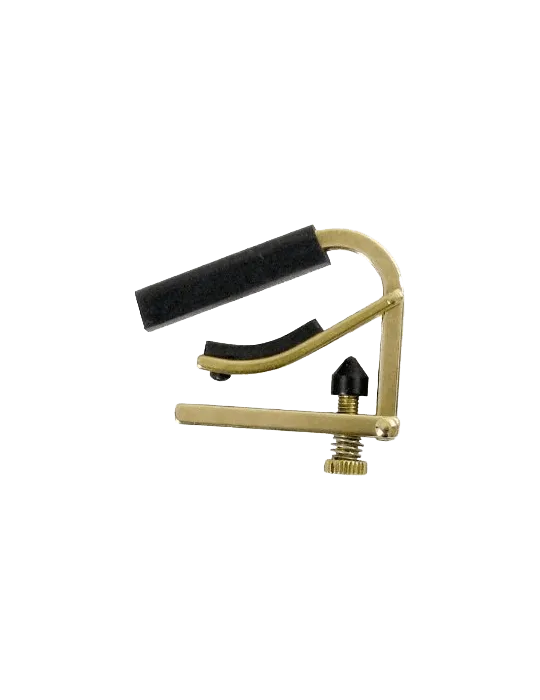 SHUBB C9B | MusicGoodDeal