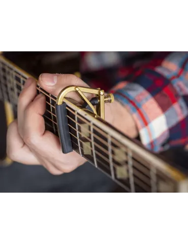 SHUBB C1B | MusicGoodDeal 2