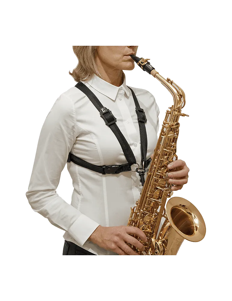 BG S41SH | MusicGoodDeal